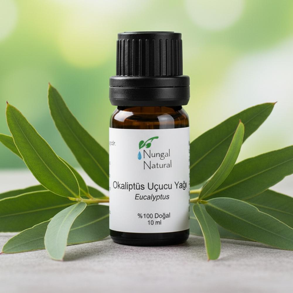 Okaliptüs Yağı