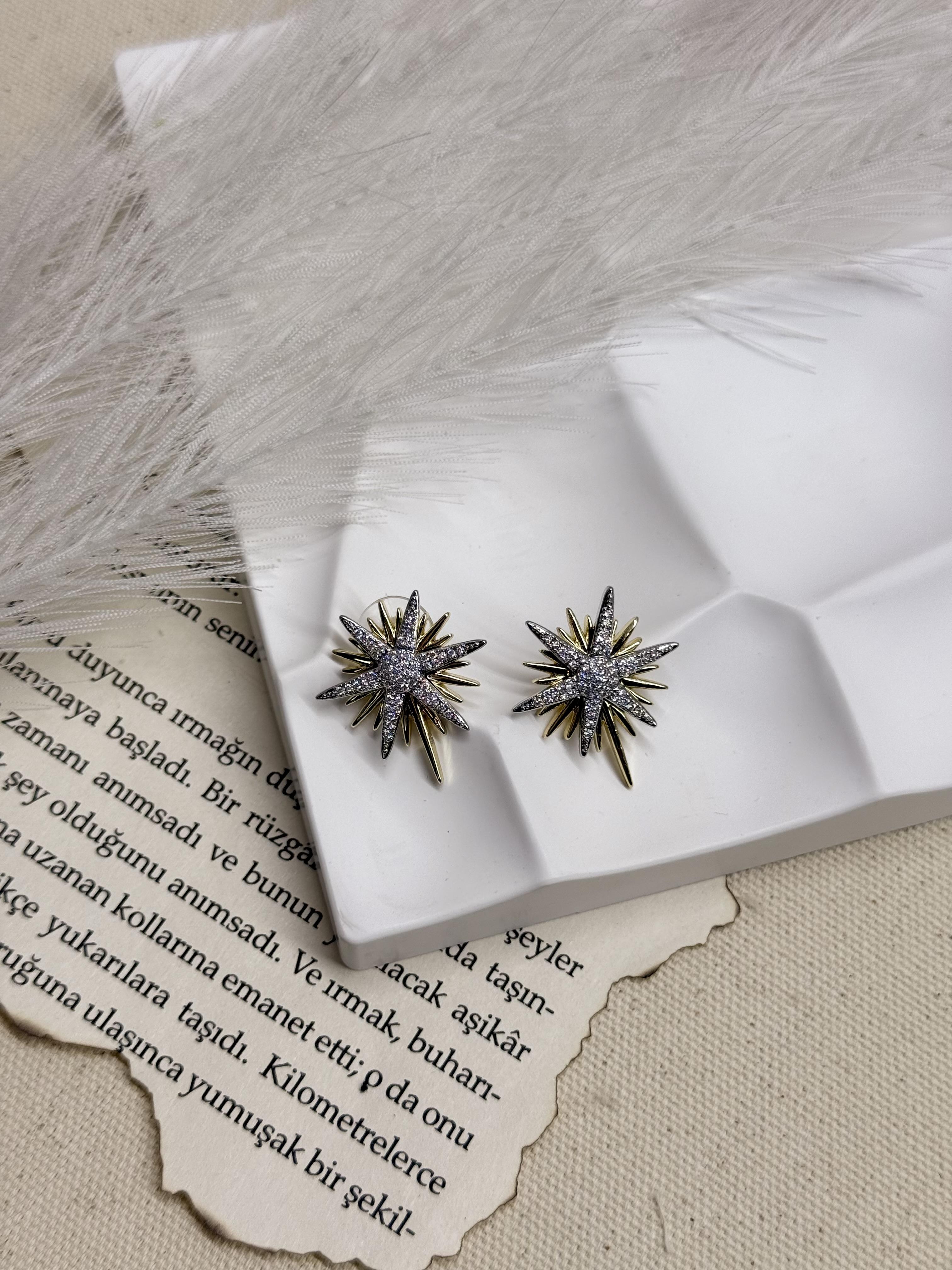 Çift Renk Kutup Yıldızı Küpe