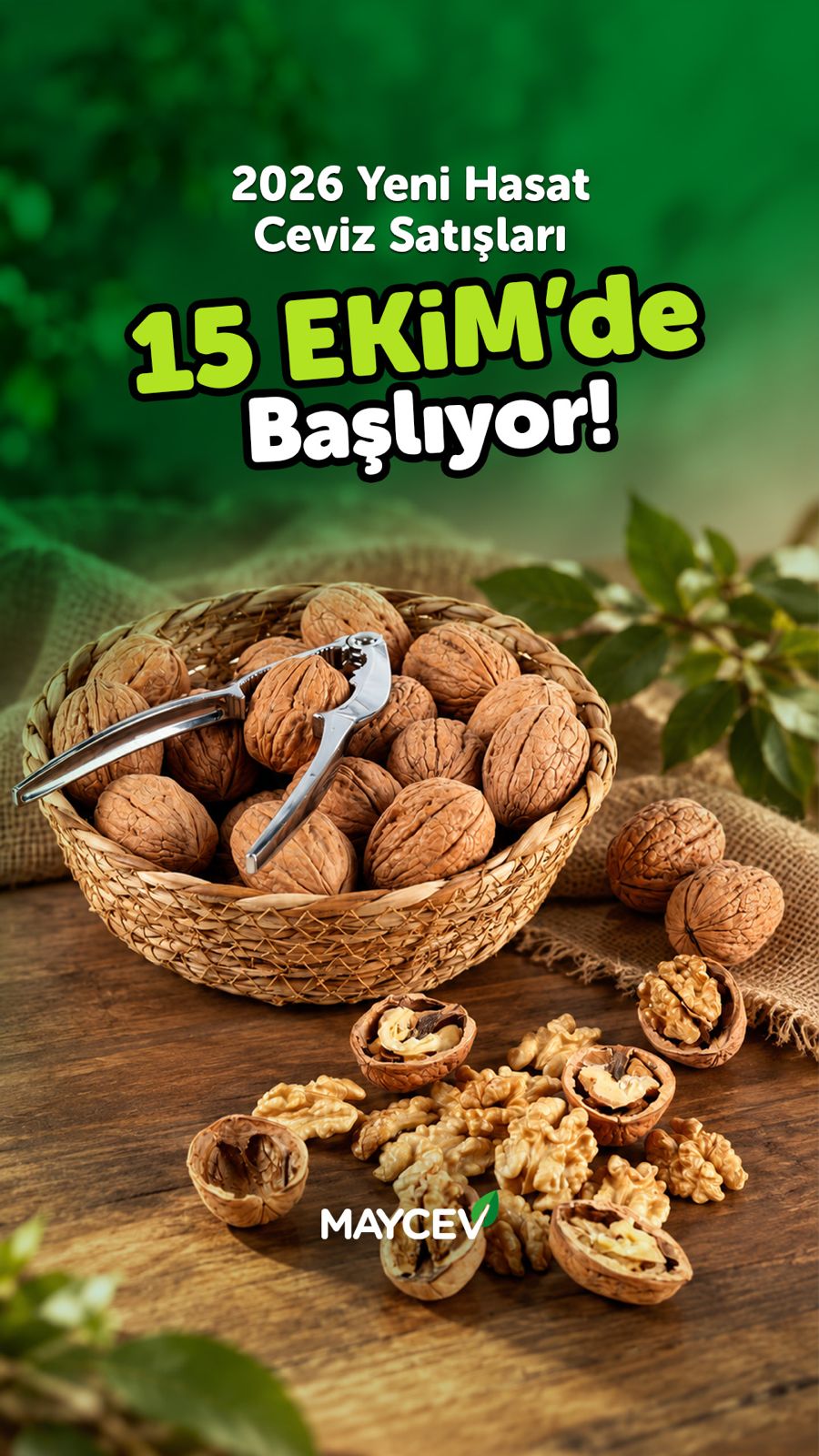 eztYWIIo193tV91NZ40Tmznh1HJiqDtgObVaet00.jpg?v=6acce7b6