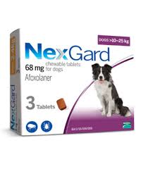 Nexgard (10 – 25 Kg) Köpekler için 1 Kutu